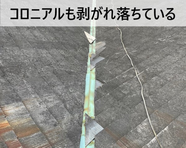 コロニアルも剥がれ落ちている　屋根調査　台風被害　熊本